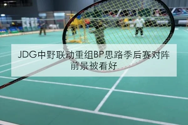 JDG中野联动重组BP思路季后赛对阵前景被看好
